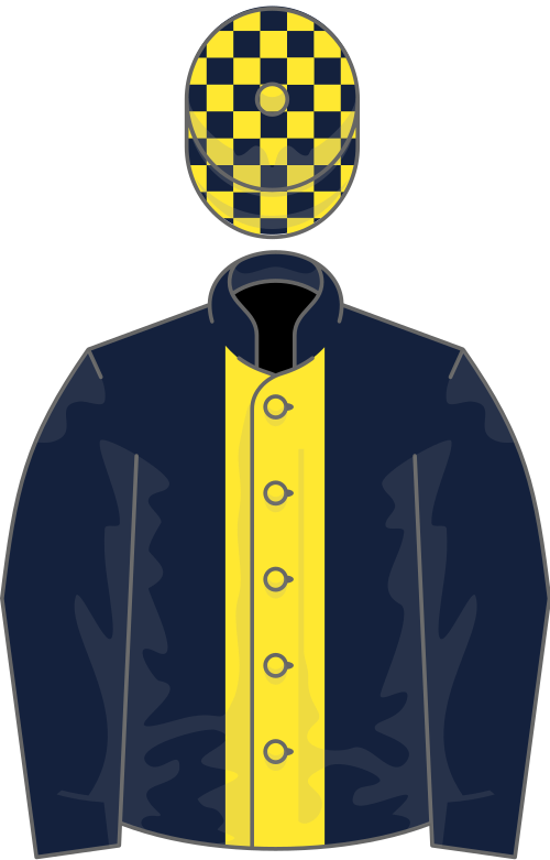 DARK BLUE, yellow panel, check cap