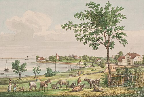 Udsigt ved Bellevue