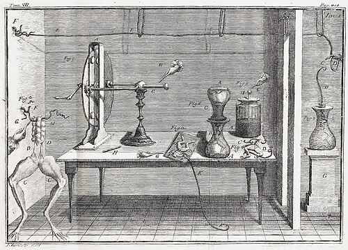 Experiment De viribus electricitatis in motu musculari.