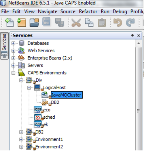 تتضمن بيئات Java CAPS في خدمات NetBeans المضيف المنطقي ومكونات أخرى
