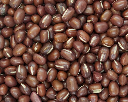 كومة من الفاصوليا