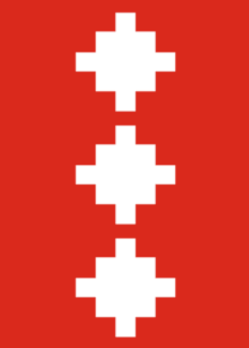Flag of Ål Municipality