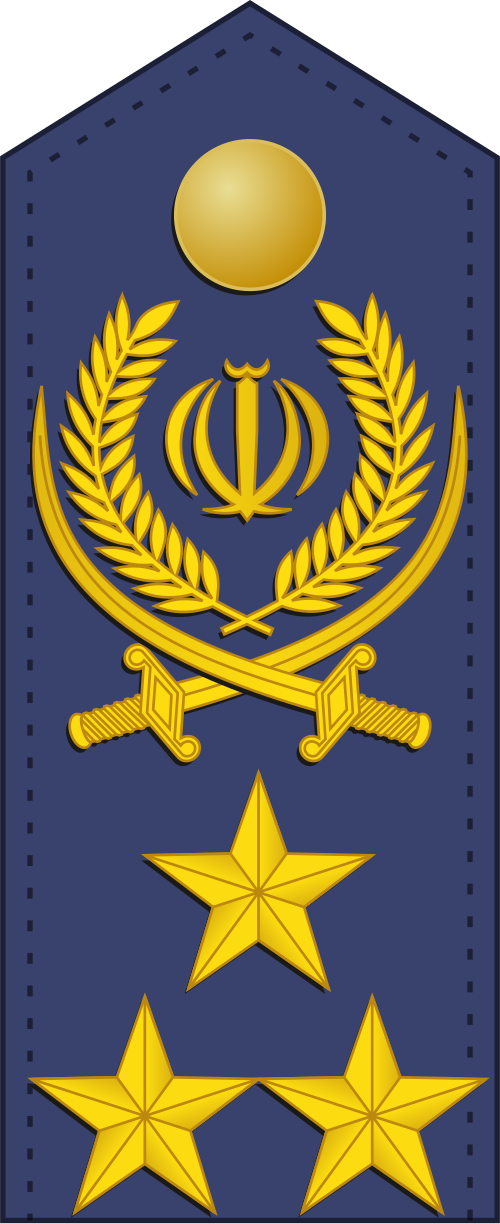 الفريق