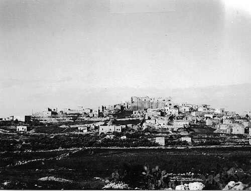 مجدل يابا، فبراير 1949