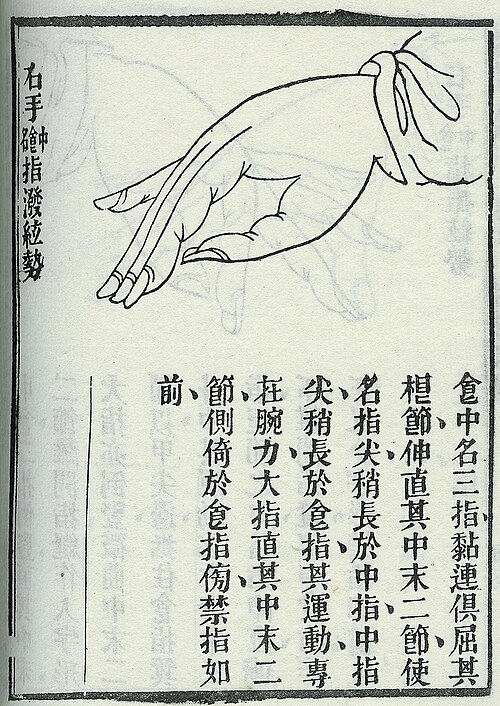 〈撥〉 بو