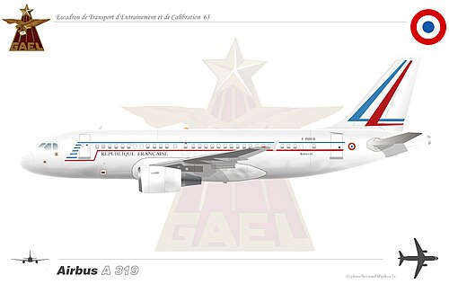 إيرباص A319