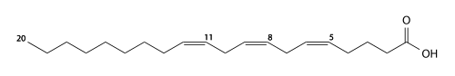 بنية حمض الميد