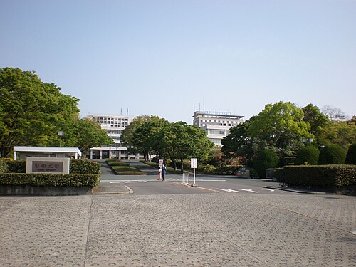 جامعة تشوبو