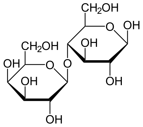 اللاكتوز
