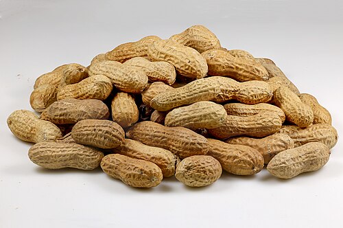 فول سوداني محمص بقشره