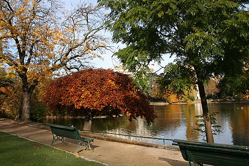 تحيط أشجار الزان الباكية (Fagus sylvatica tortuosa) بالبحيرة المركزية في Parc Montsouris.