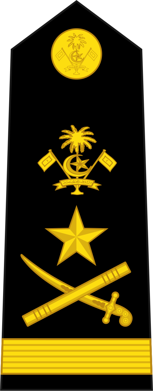 عام (سلاح مشاة البحرية المالديفية)