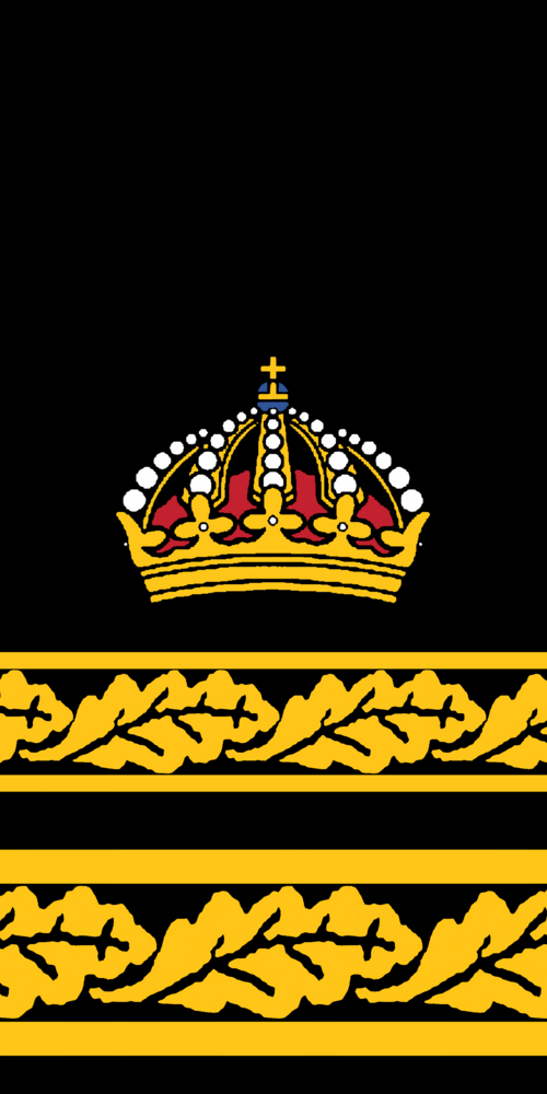 قائد الشرطة (رئيس منطقة شرطة محلية؛ رئيس أركان منطقة شرطة) (Polisintendent)