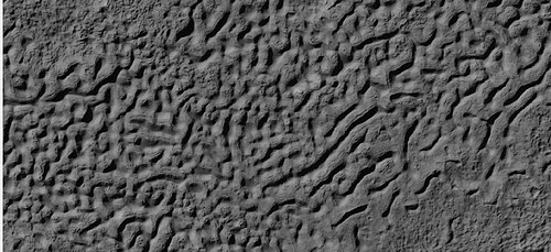 Closed-cell brain terrain, as seen by HiRISE under the HiWish program. This type of surface is common on lobate debris aprons, concentric crater fill, and lineated valley fill.