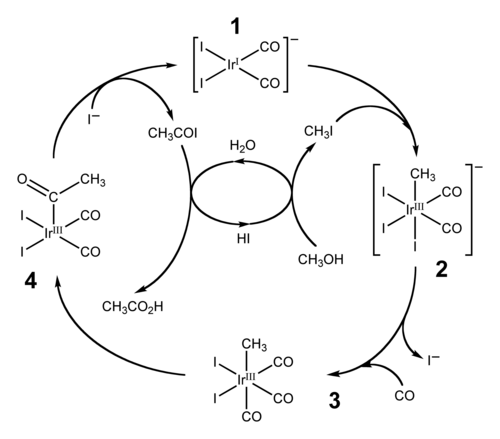 الدورة التحفيزية لعملية كاتيفا