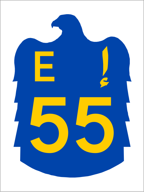 الإمارات العربية المتحدة E55.svg