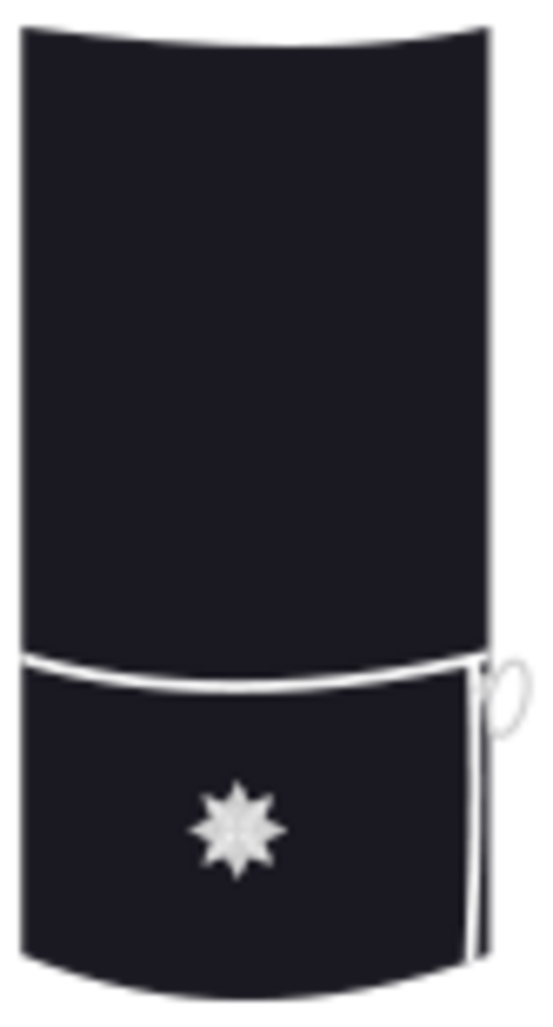 القائد