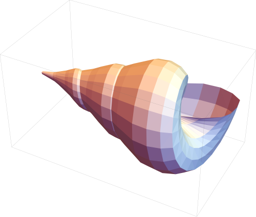 مجموعة رسومات لصدفة بحرية مع تظليل مسطح تم تصميمها في برنامج Mathematica