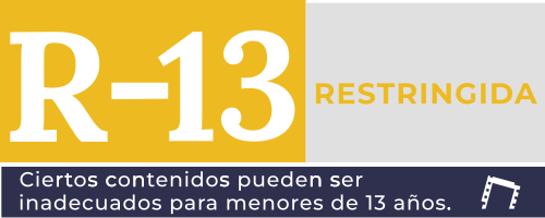 R-13