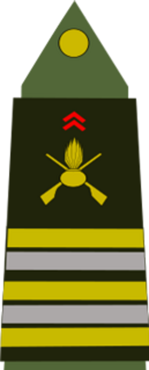 الجيش الفرنسي (مقدم)