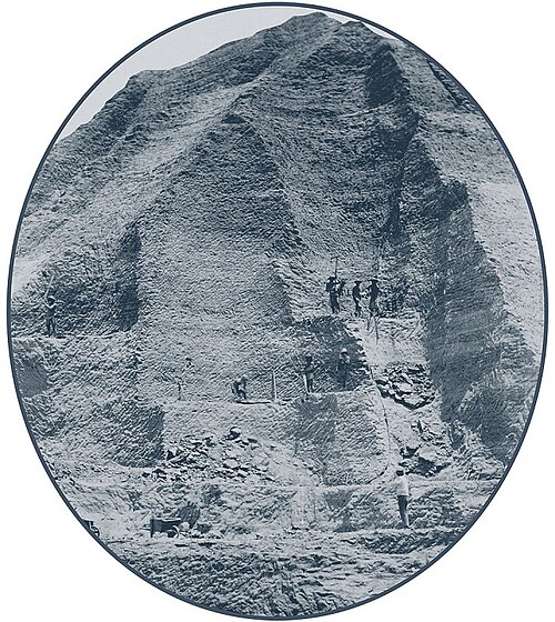 عمال الجوانو (كان يُستخدم ذرق الطيور في صناعة الذخائر) (1865)
