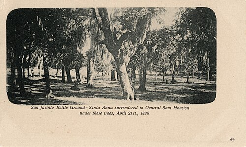 ساحة معركة سان جاسينتو (بطاقة بريدية، حوالي عام 1898)