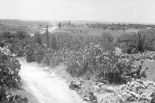 الطريق المؤدي إلى القباب، 1948