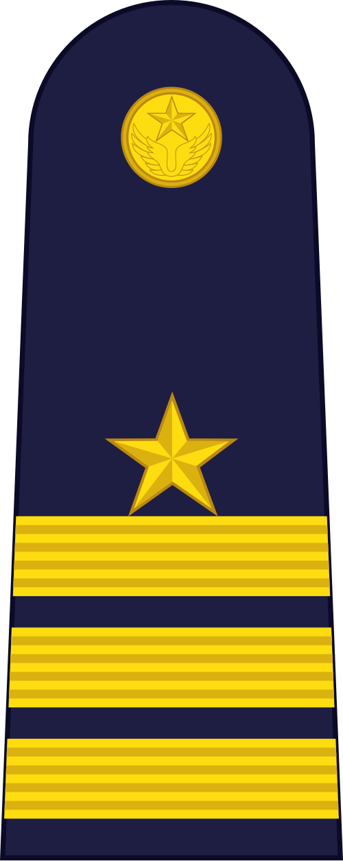 قائد الجناح