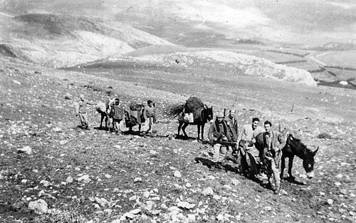 لواء يفتاح ينقل الإمدادات إلى كيبوتس منارة، 1948