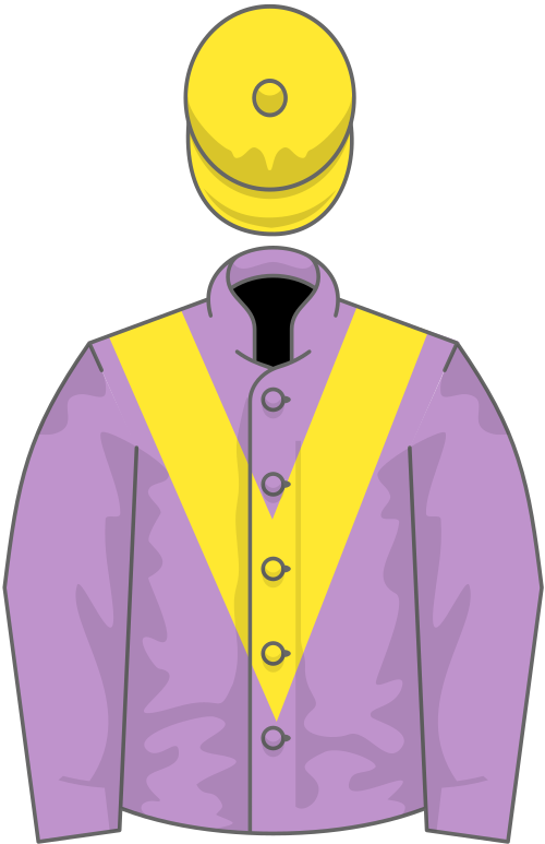 Mauve, yellow chevron and cap