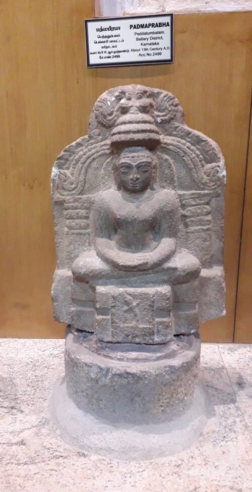 Padmaprabha Tirthankar في متحف تشيناي