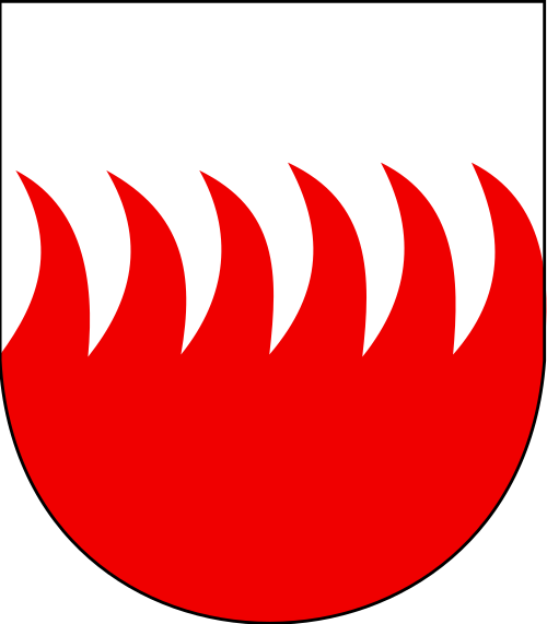 رايوني