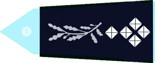 Directeur général (المدير العام للشرطة الوطنية)