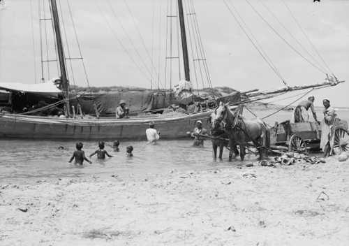 تحميل البطيخ في طنطورة (تم التقاط الصورة بين عامي 1920 و1933)