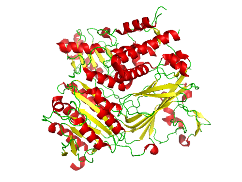 Conformation of the CopII protein that is complexed with the snare protein Sed5 (PDB: 1PD0​).