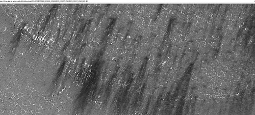 Spiders shaped by the wind into streak or fans, as seen by HiRISE under HiWish program. Polygon surface has frost in the troughs along the edges.