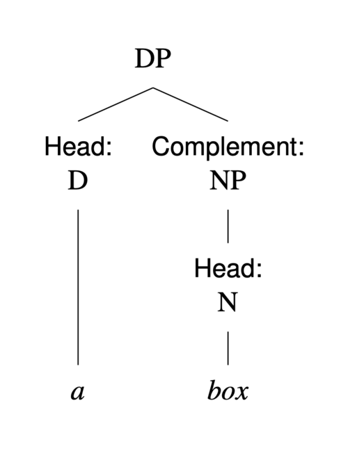 عبارة اسمية (DP) برأس D "a" ومكمل NP. رأس NP هو N "box".