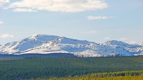 2009