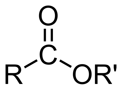 إستر