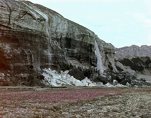 واجهة نهر وايت الجليدي المتقدم، جزيرة أكسل هايبرغ، 23 يونيو 1975. تُعزى واجهة النهر الجليدي شديدة الانحدار ذات الشلالات إلى برودة الجليد، ويظهر على الجرف الجليدي ركامٌ من الحطام، وهو جزء من نهر طومسون الجليدي الشهير مع ركامه الضاغط على اليمين. في المقدمة: غطاء نباتي من نبات السكسيفراجا.