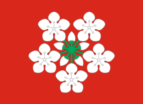 Flag of Lier Municipality