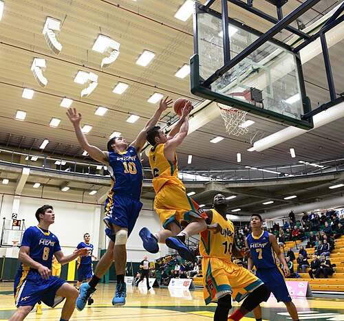 فريق كرة السلة UNBC Timberwolves يلعب ضد فريق UBC Okanagan Heat