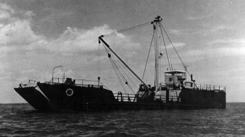 كلب الصيد في عام 1963