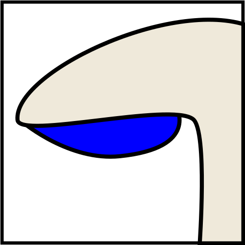 حر