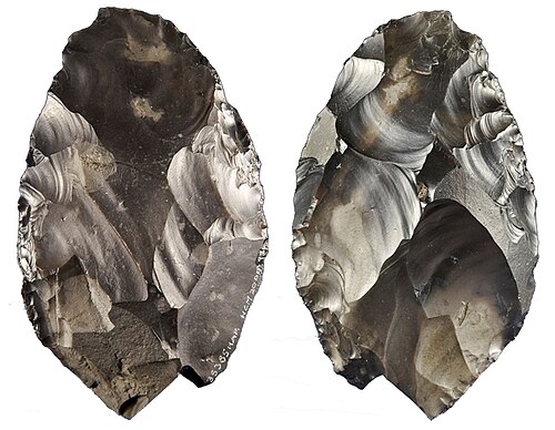 فأس هابيسبرغ اليدوية، مصنوعة من الصوان. 12.2 × 7.8 سم.