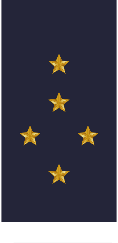 Général d'armée aérienne (القوات الجوية والفضاء الفرنسية)