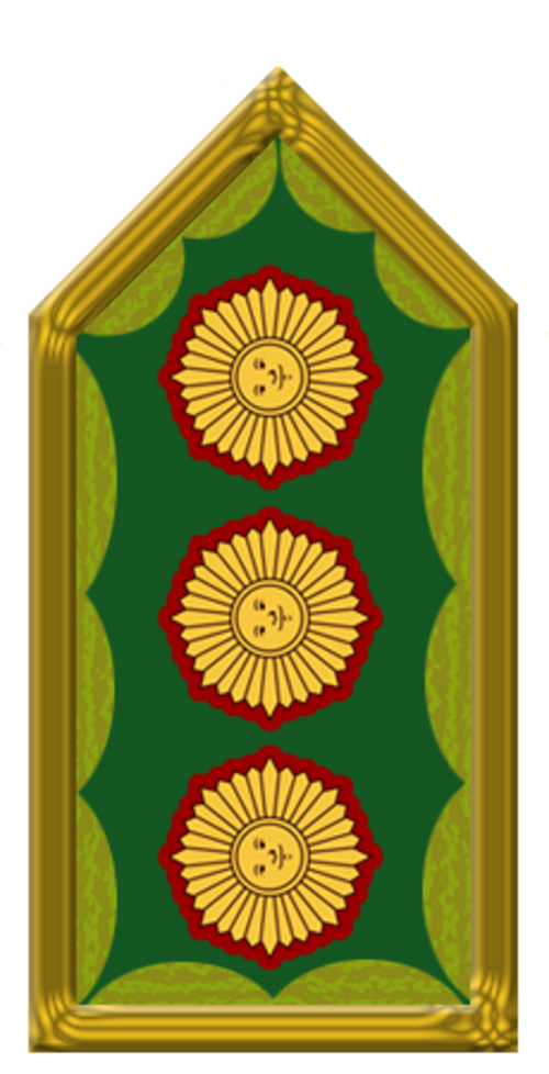 الفريق