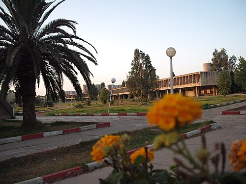 جامعة العلوم والتكنولوجيا هواري بومدين