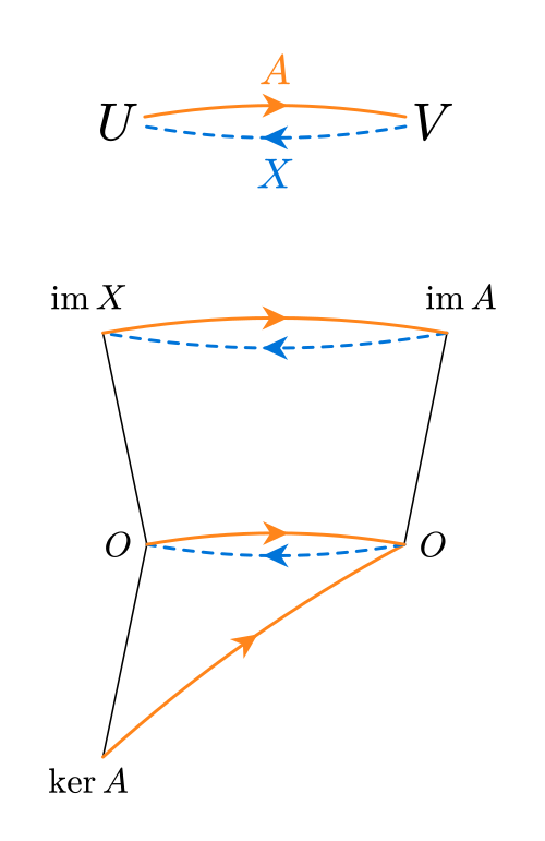 X هو معكوس يميني لـ A ( A X = I V AX=I_{V})