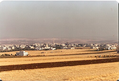 هوارة في يونيو 1991
